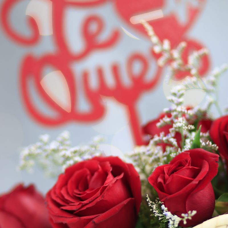Arreglo de Rosas Rojas en bolsita tejida a mano - Fiorence Puebla