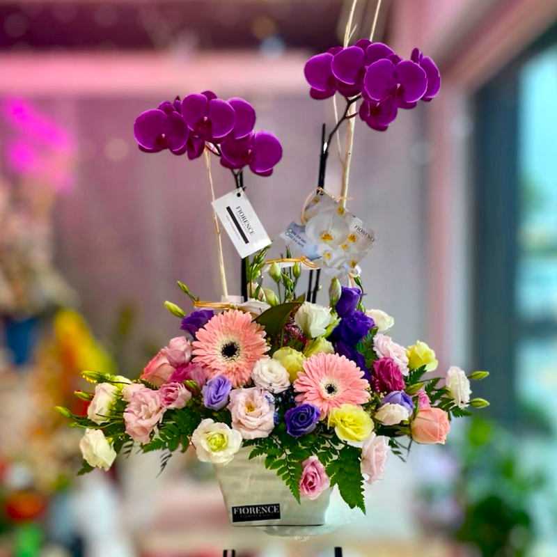 Orquídea en Jardín de Flores