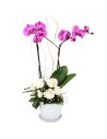 Orchid and Roses Arrengement