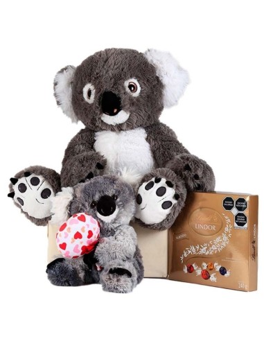 Tifi La Mamá Koala