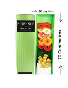 Gift box with 10 Colorful Gerberas