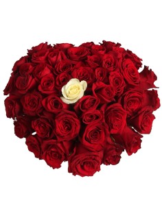 Beautiful Heart of roses