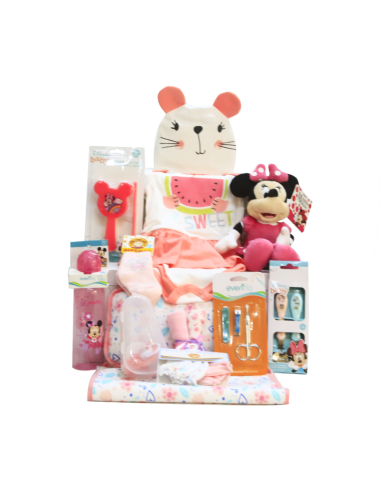 Hermoso Set Minnie Mouse Para Bebé