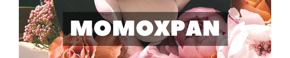 Entrega de flores y regalos en Momoxpan. Florerías en Momoxpan