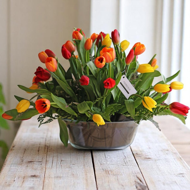Arreglo de Tulipanes Arcoíris - 50 Tulipanes