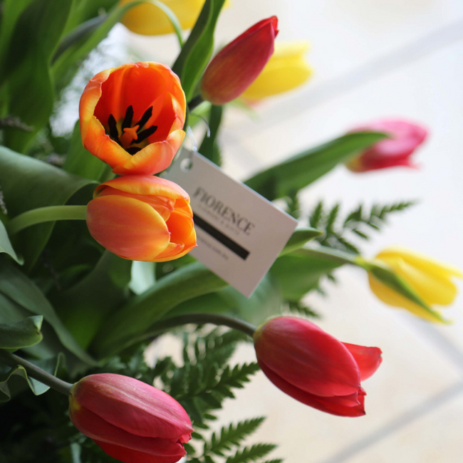 Arreglo de Tulipanes Arcoíris - 50 Tulipanes