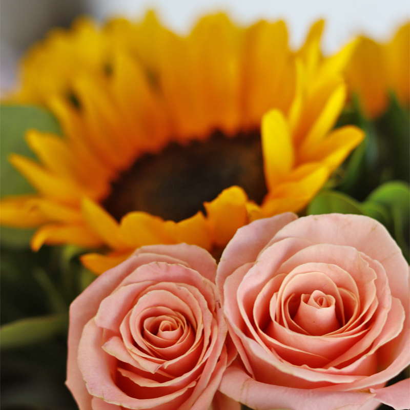 Special Duo with Roses and Sunflowers
