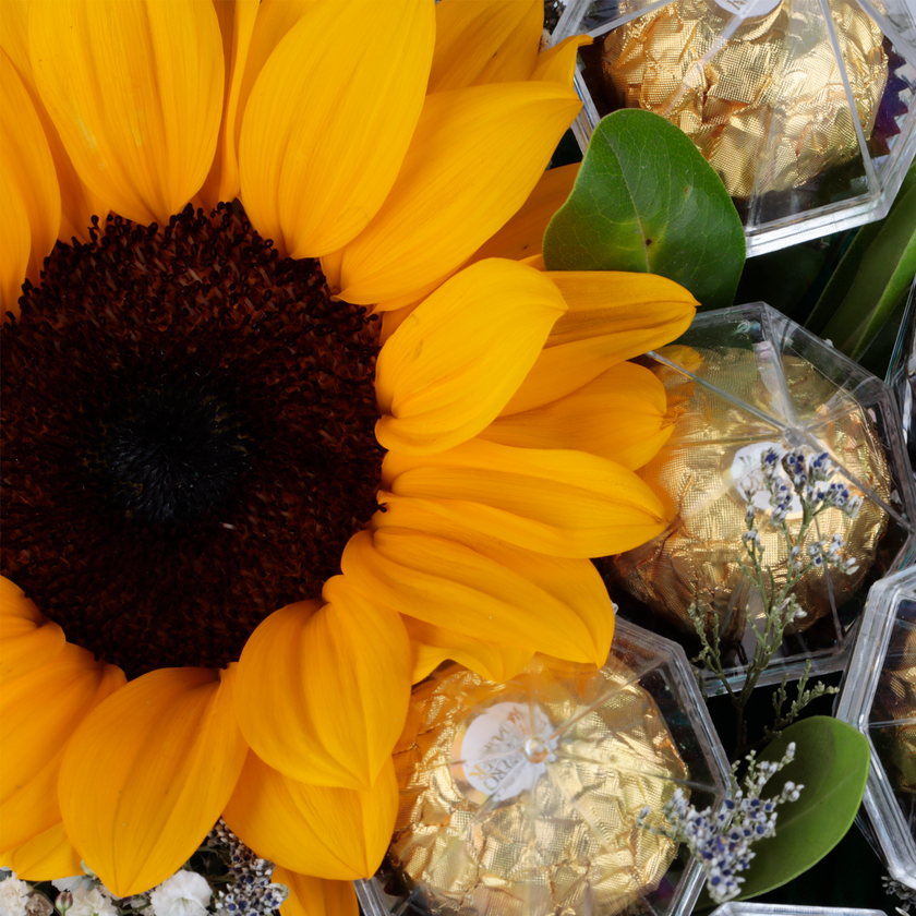 Girasol con Chocolates