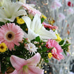 Canasta Primavera con Lilis, Gerberas y Margaritas