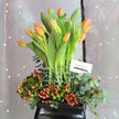 Diseño Jardín de Tulipanes