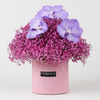 Algodón de azúcar con orquídeas Vanda