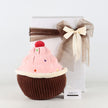 Cupcake Plushie, Chocolates and More 