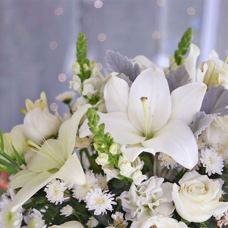 Arreglo Serenidad y Paz