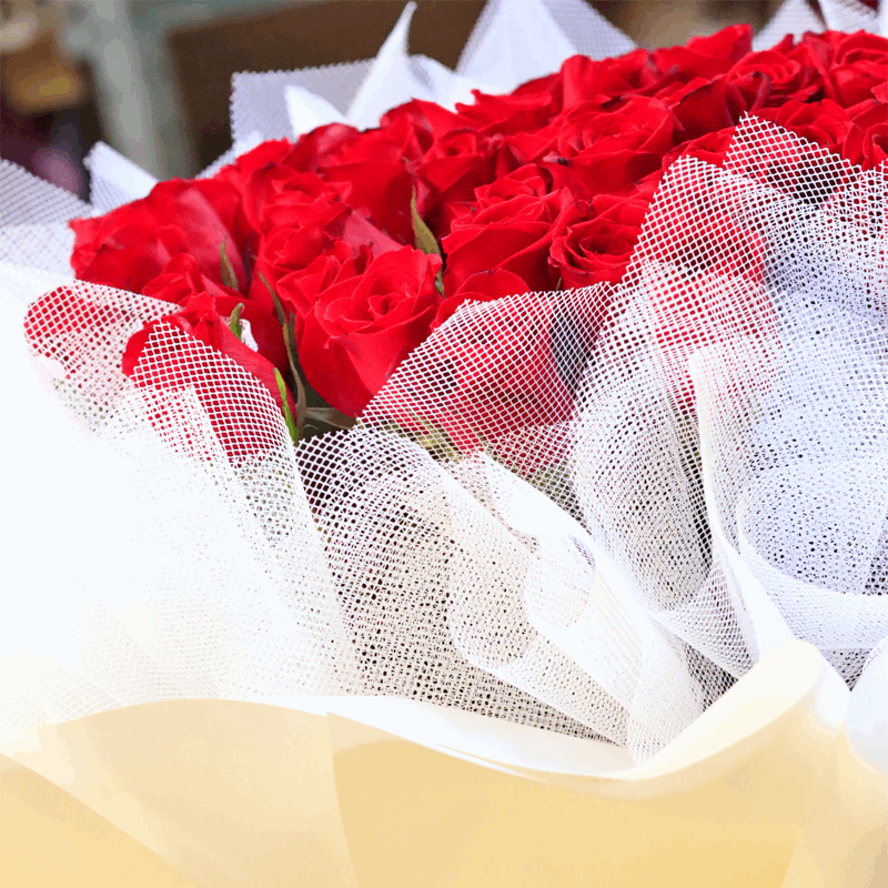 Magnífico Ramo de 50 Rosas rojas