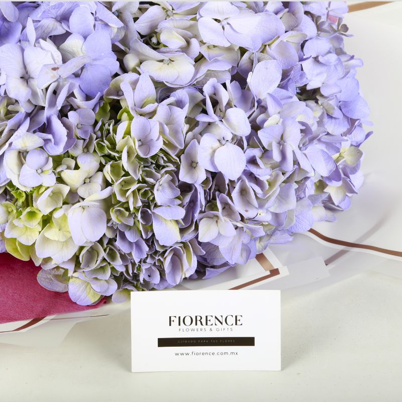 Bouquet de Hortensias