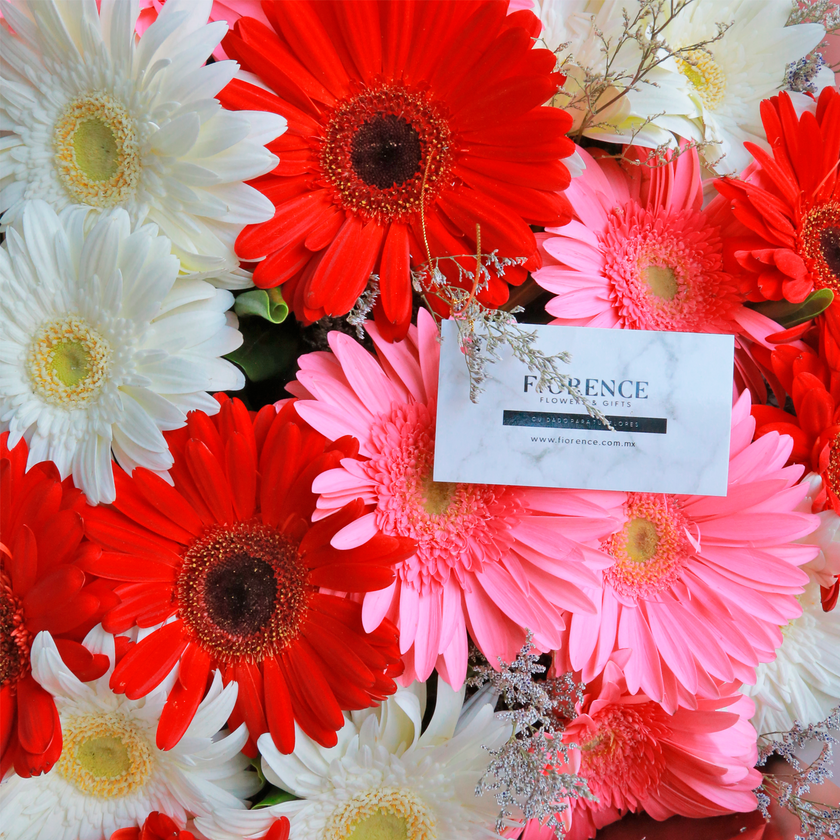 Ramo especial de Gerberas