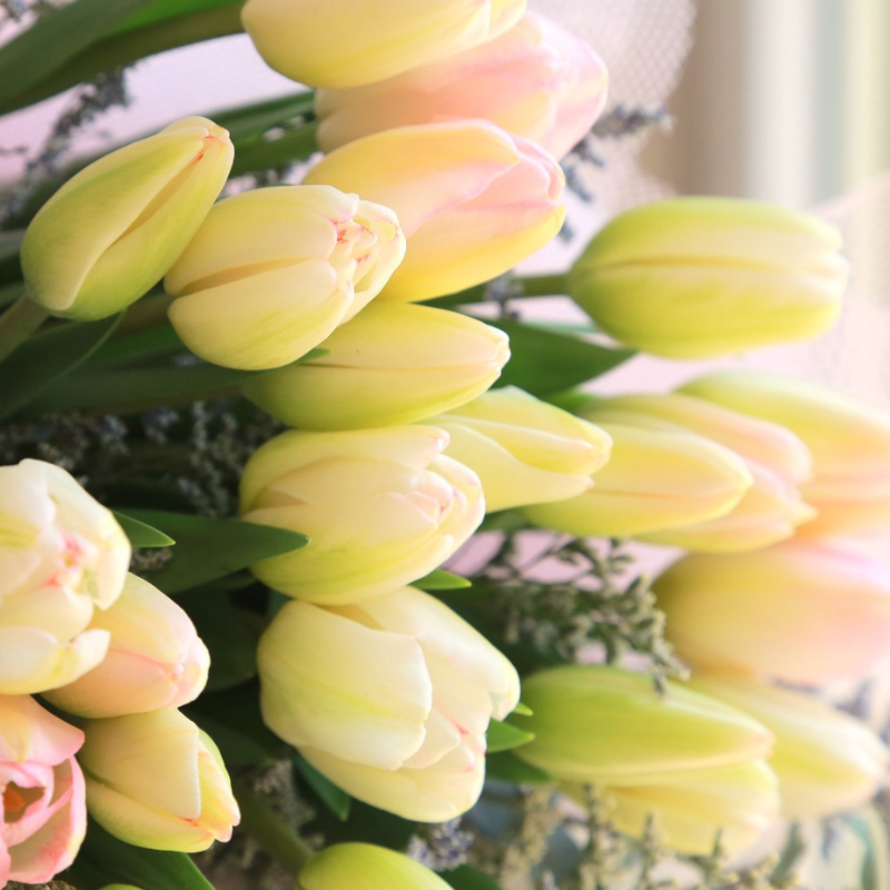 Ramo de Tulipanes