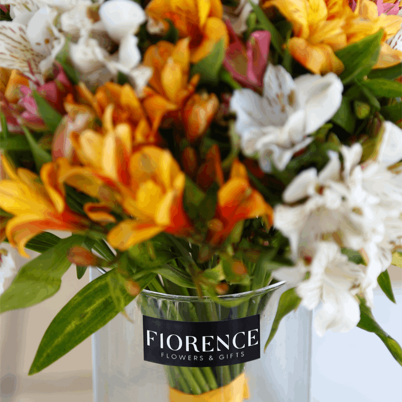 Alstroemerias Espectaculares