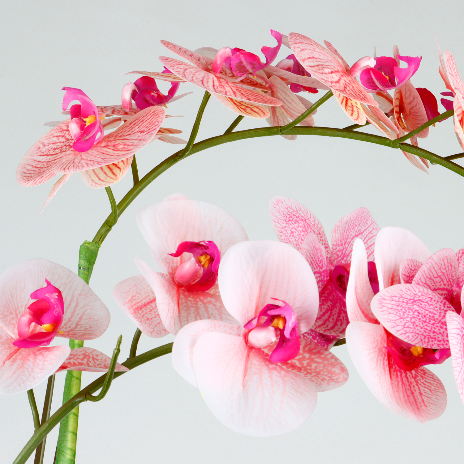 Graceful Orchid Elegance - Artificial Arrangement