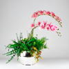 Graceful Orchid Elegance - Artificial Arrangement