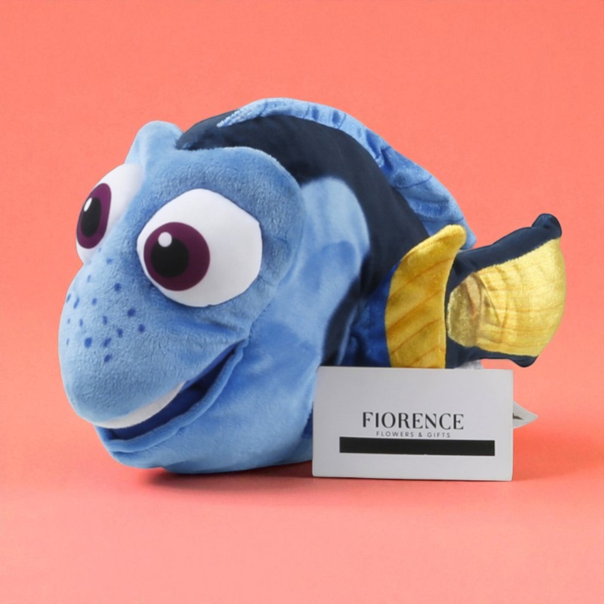 Peluches de Nemo y Dory con Chocolates y Galletas