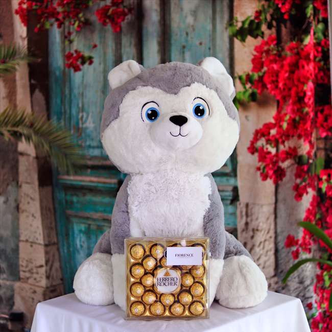 Cute Large Stuffed Husky Plush with Chocolates