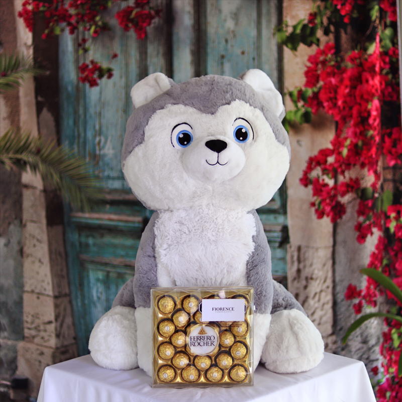 Husky Gigante de Peluche con Chocolates