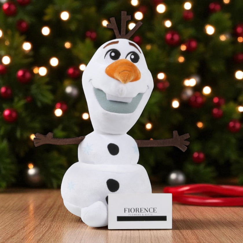 Sweet Adventures with Frozen Plush Toys