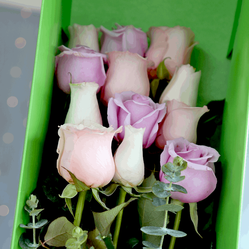 Caja de Regalo con 12 Rosas
