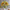 Girasoles, rosas amarillas, entregas en Puebla, 21 de Septiembre, primavera, regalar flores, amistad, Fiorence, Cholula, flores amarillas, ramo, amor, cumpleaños