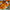 Marigold and Daisies Bouquet 