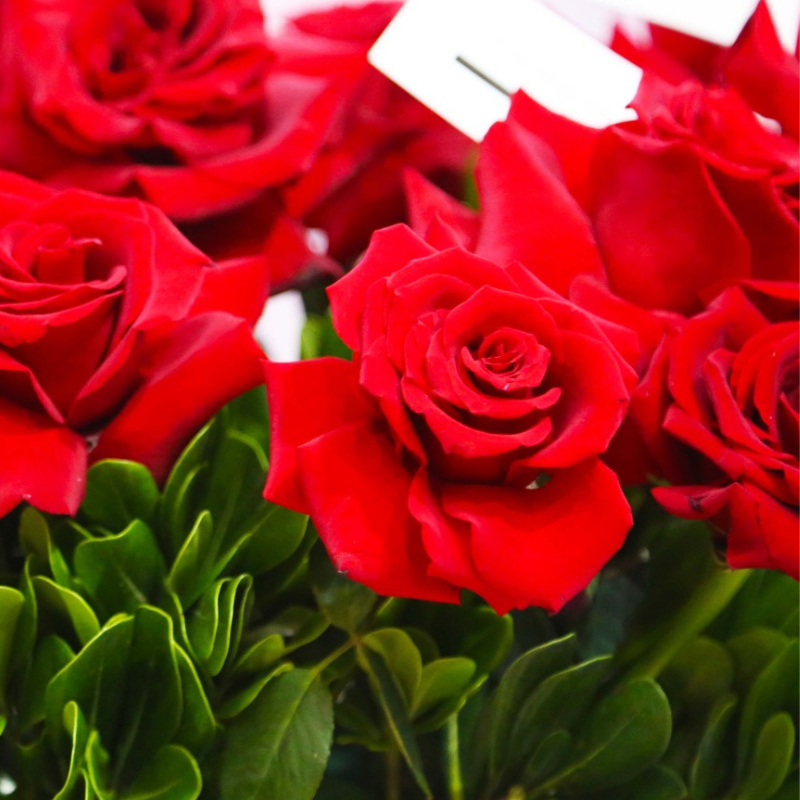 “Con todo mi amor” - Arreglo con rosas rojas