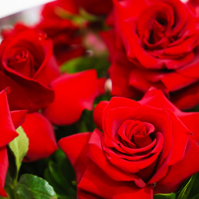 “Con todo mi amor” - Arreglo con rosas rojas