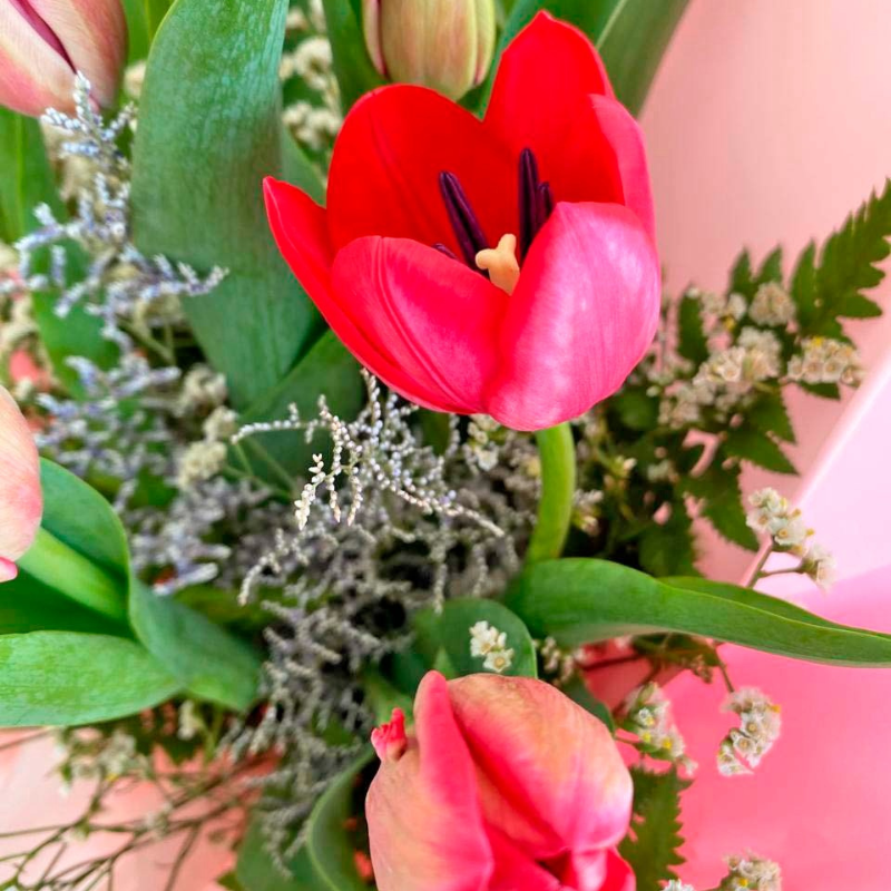 Ramo de 10 Tulipanes