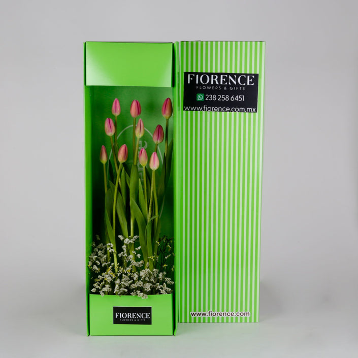 Exclusivos y bellos tulipanes
