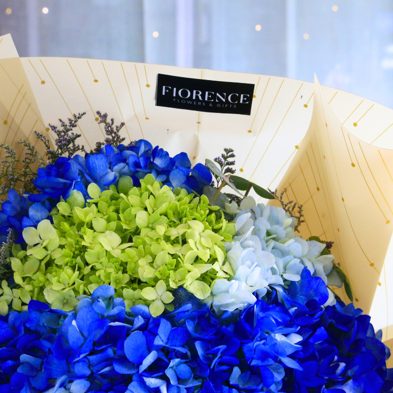 Bouquet de Hortensias