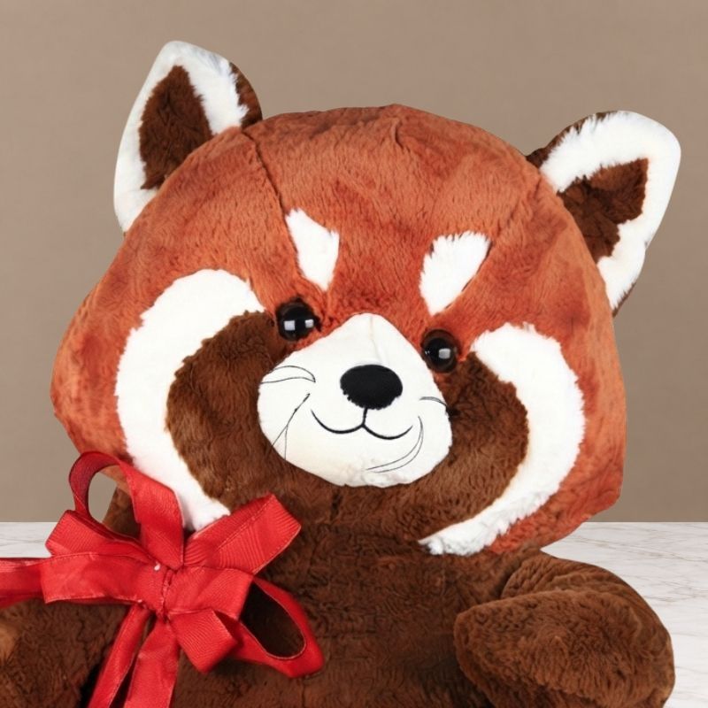 Regalo con peluche de panda rojo y chocolates Ferrero Rocher