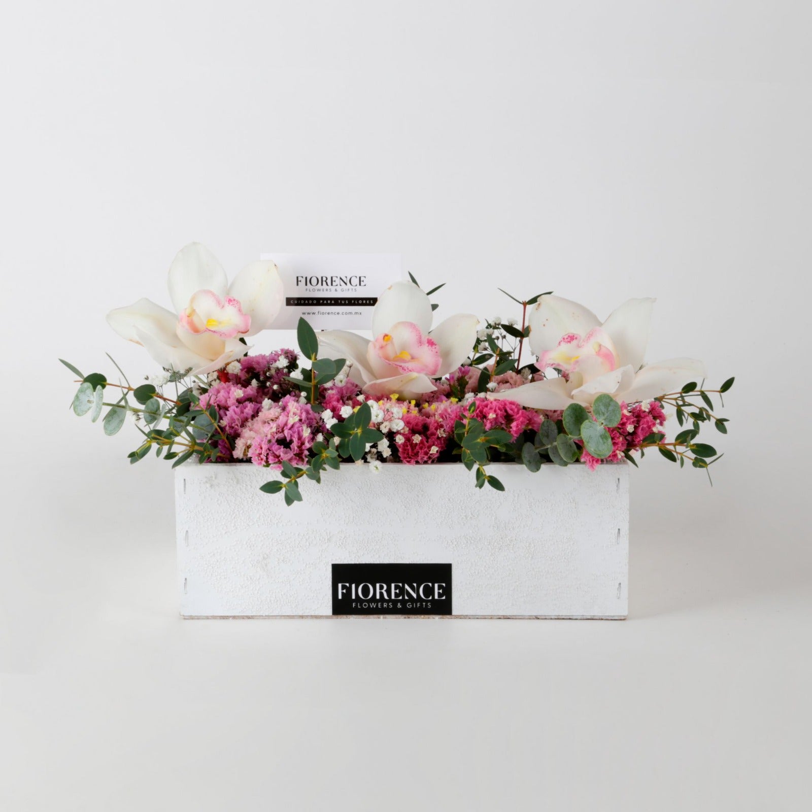 Orquídeas Cymbidium en Jardín