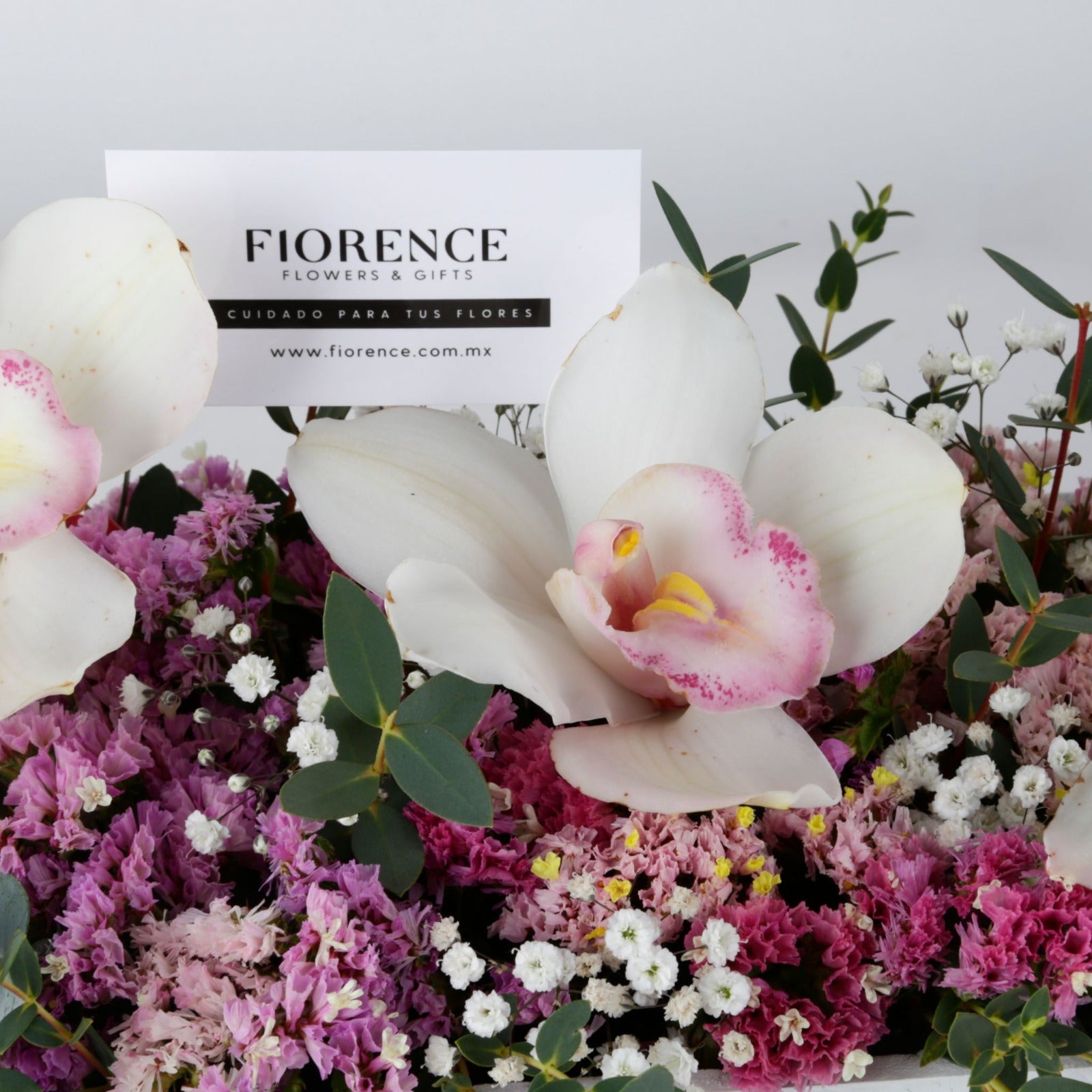 Orquídeas Cymbidium en Jardín