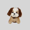 Detalle Floral para Alguien Especial